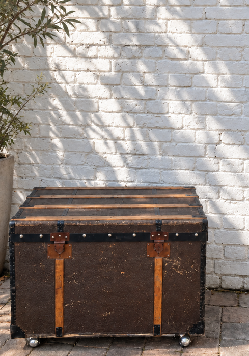 Early 20th Century Railway Travel Trunk Switzerland 