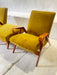 Armchairs with a Footrest by František Jirák for Tatra