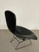 Harry Bertoia for Knoll Black Bird Chair