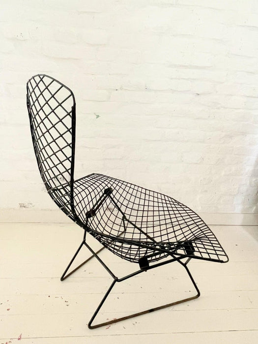 Harry Bertoia for Knoll Black Bird Chair
